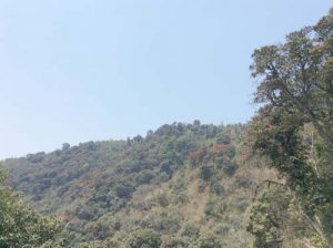 IMG_5243 copy